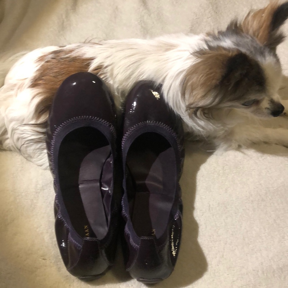 Cole Haan scrunch flats deep purple flat 11